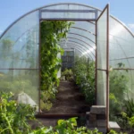 How Greenhouse Insurance Shields You from Natural Disasters