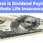 What is Dividend Paying Whole Life Insurance? • The Insurance Pro Blog