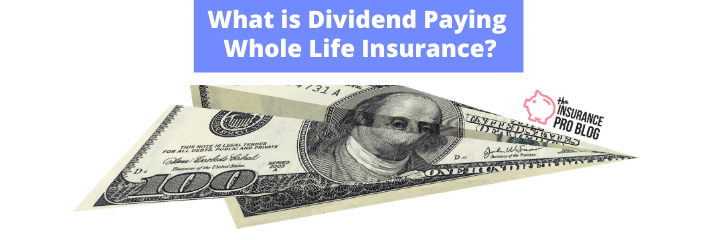 What is Dividend Paying Whole Life Insurance? • The Insurance Pro Blog