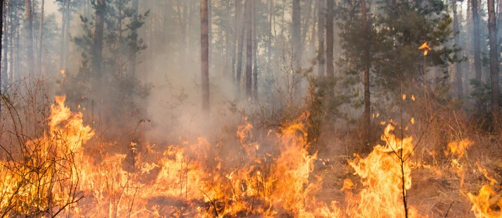 Wildfire Protection: How Technology is Changing Home Insurance