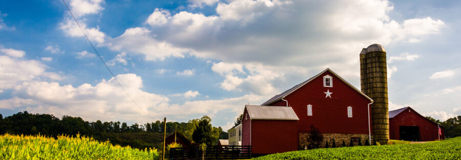 Preventing Slips, Trips and Falls on the Farm