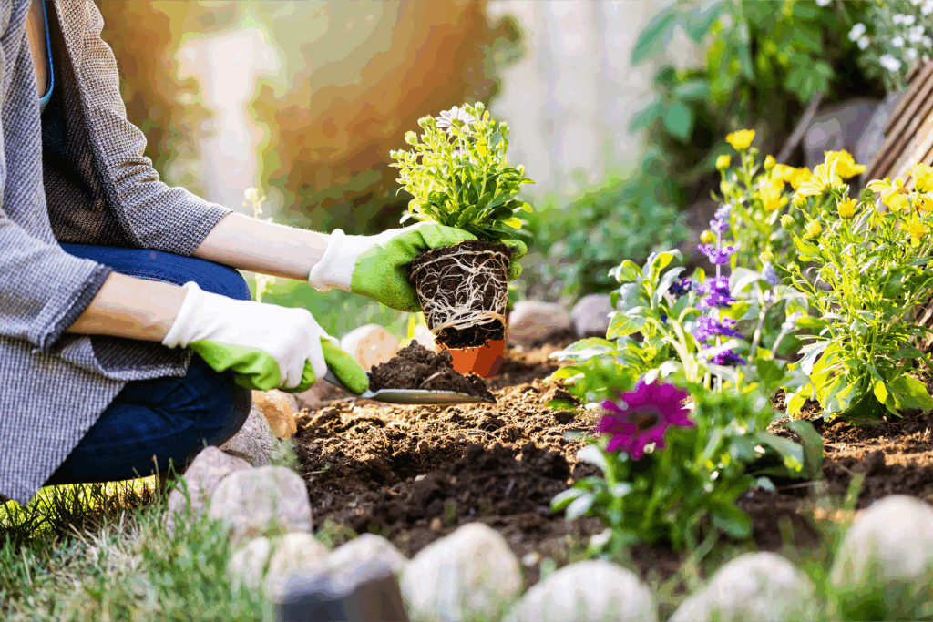 Green Living Tips for Your Home