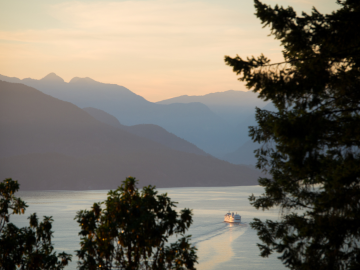 Is Travel Insurance Worth It for Domestic Trips? Here's Why You Might Need It