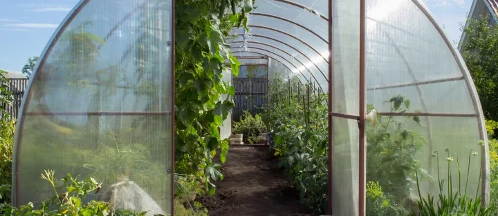 How Greenhouse Insurance Shields You from Natural Disasters