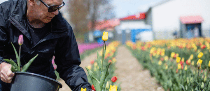 Do "You-Pick" Farms in Ontario Need Insurance?