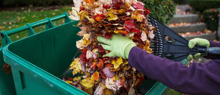 Yard Clean-Up Hacks for a Wet Ontario Fall