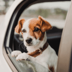 Myths About Car Insurance That Could Be Costing You