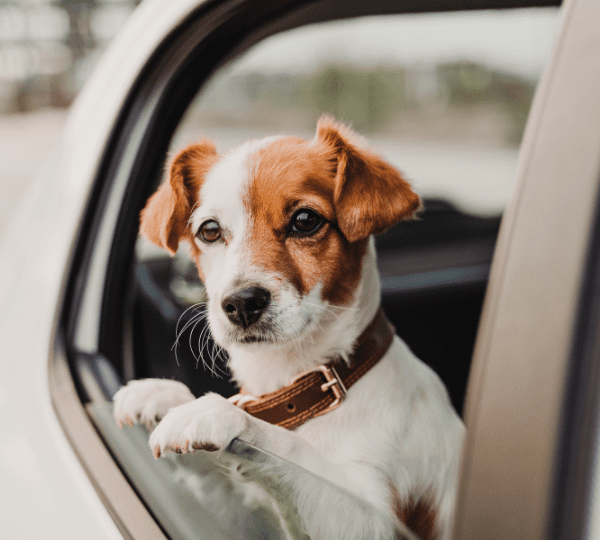 Myths About Car Insurance That Could Be Costing You