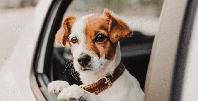 Myths About Car Insurance That Could Be Costing You