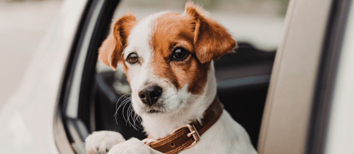 Myths About Car Insurance That Could Be Costing You