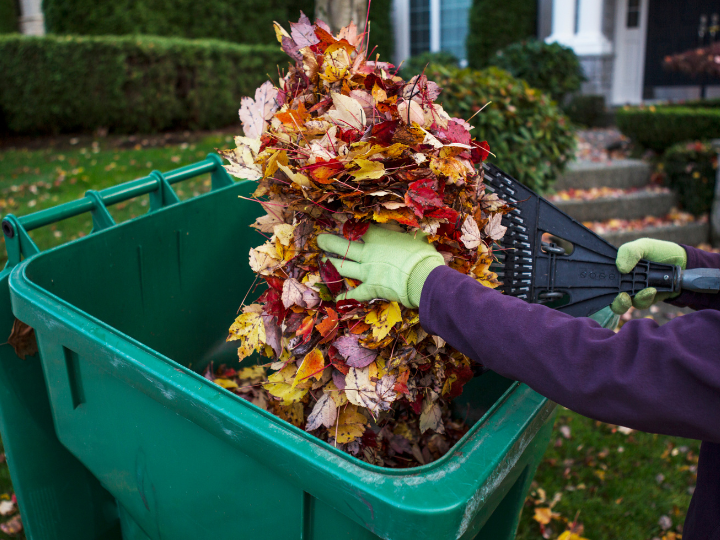Yard Clean-Up Hacks for a Wet Ontario Fall