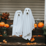 Halloween Liability: Are You Covered at Home?