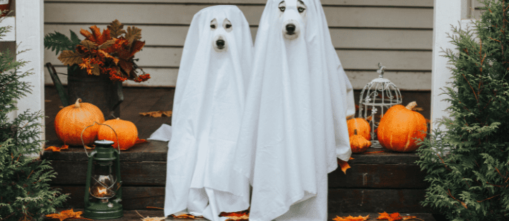 Are You Liable if Someone Gets Hurt on Your Property This Halloween?
