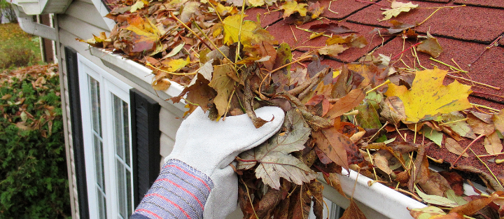 Raking Leaves, Cleaning Gutters, and Preventing Fall Water Damage