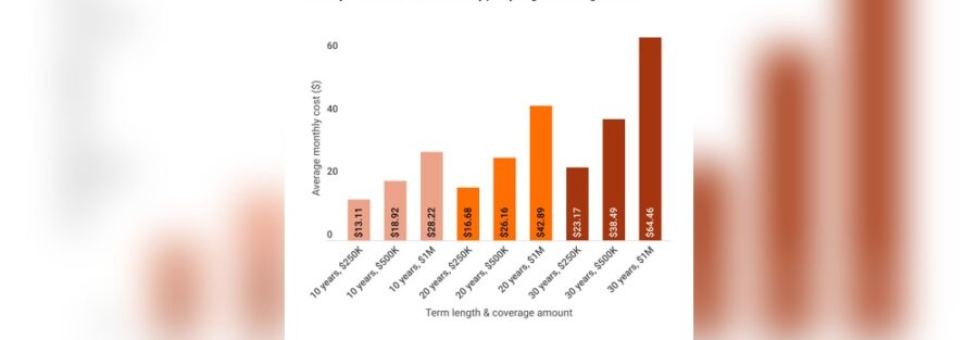How Much Does Life Insurance Cost Per Month on Average